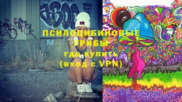 мдпв Алексин