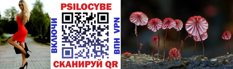 Псилоцибиновые грибы Cubensis  Бодайбо 